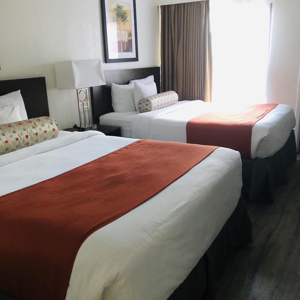 Baymont By Wyndham Tampa Near Busch Gardens Hotel Екстериор снимка