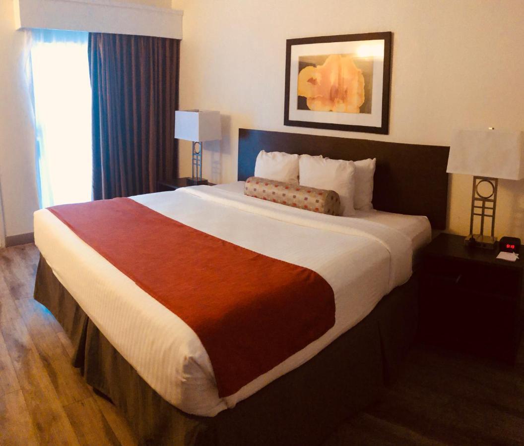 Baymont By Wyndham Tampa Near Busch Gardens Hotel Екстериор снимка